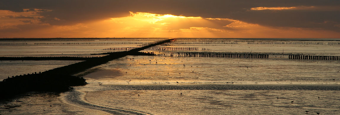 Afbeelding zonsondergang boven de Waddenzee