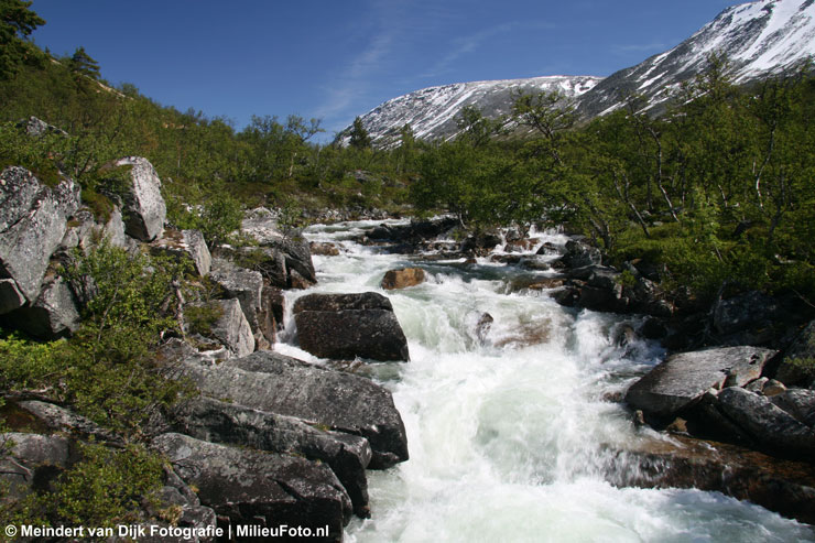 Foto van Noorwegen. Foto Meindert van Dijk | MilieuFoto.nl